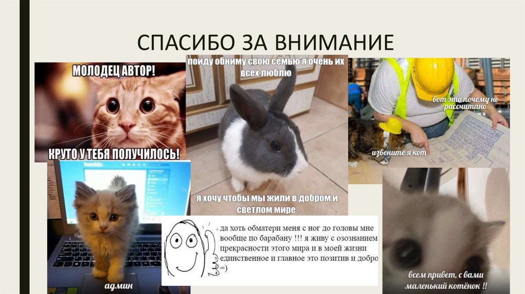 СПАСИБО ЗА ВНИМАНИЕ