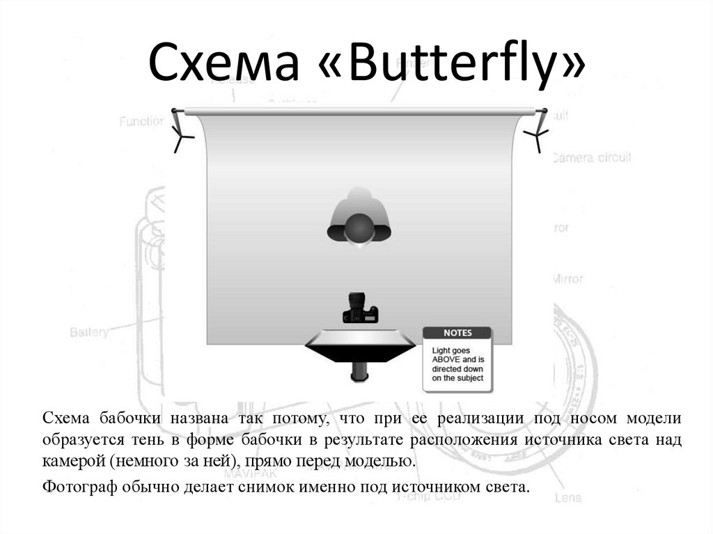 Схема света бабочка в фотографии