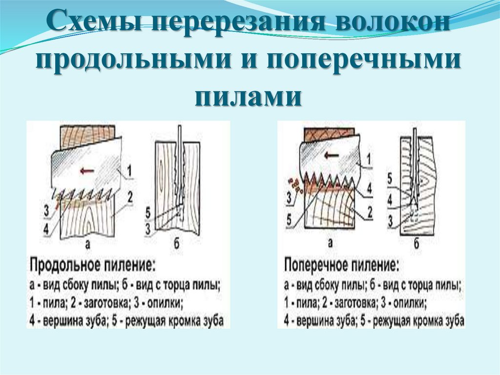 Пиление заготовок из древесины 5 класс презентация