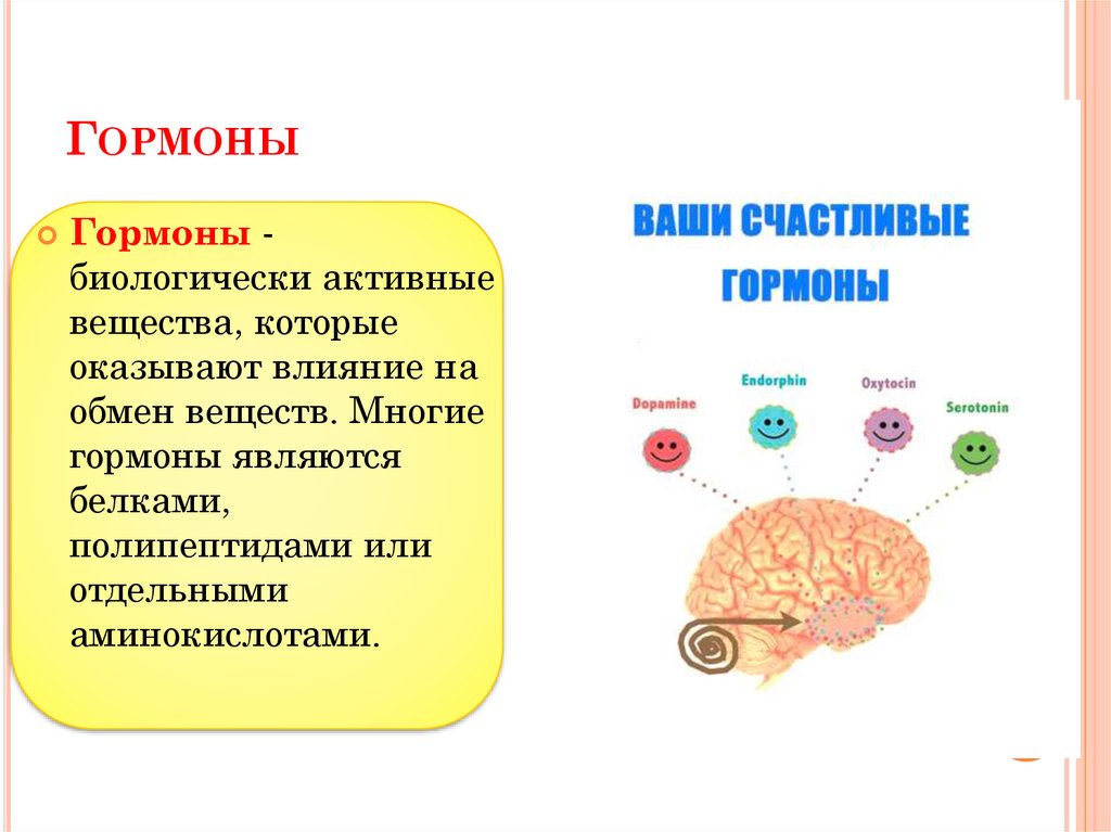 Белковые гормоны. Гормоны которые являются белками. Биологически важные вещества. Белки являются гормонами. Гормоны представленные белками и полипептидами.