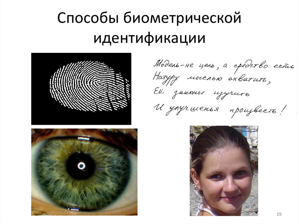 Способы биометрической идентификации