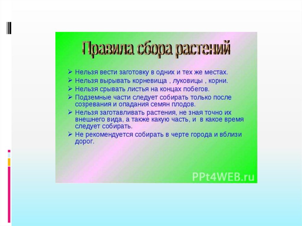 Собранного правило. Правила сбора семян. Правила сбора и хранения семян.. Технология сбора семян. Правила сбора семенного материала.