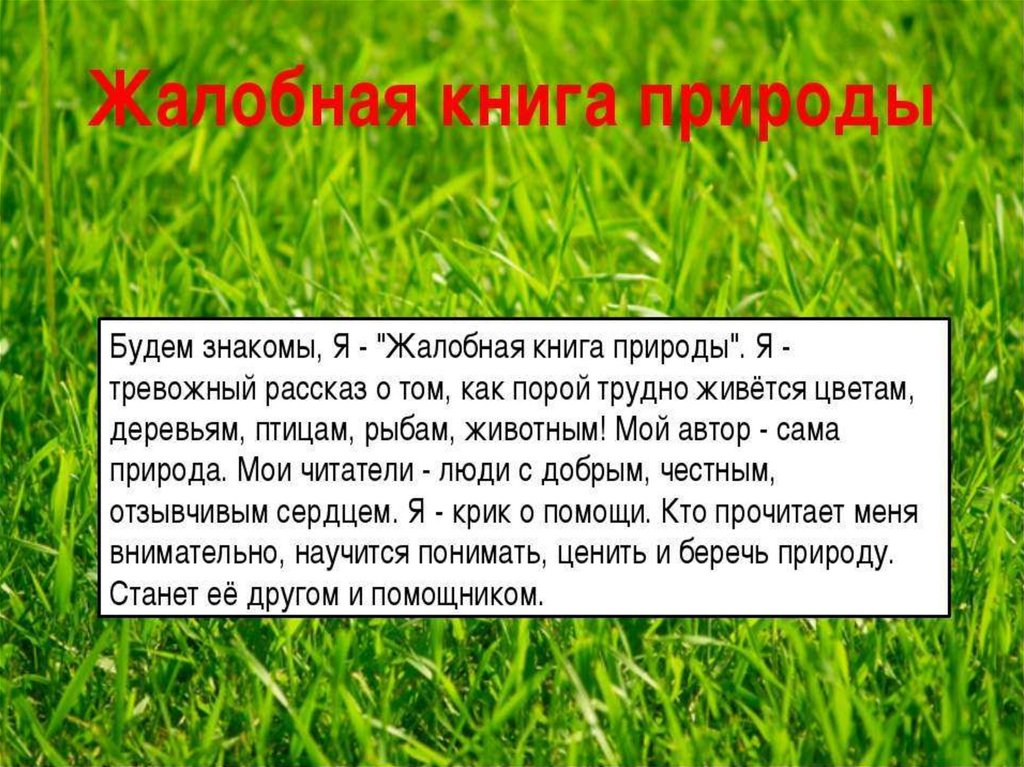 Письмо от имени семьи растениям. Жалобная книга природы. Жалобная Крига природы. Жалобная книга природы для дошкольников. Жалобы от природы.