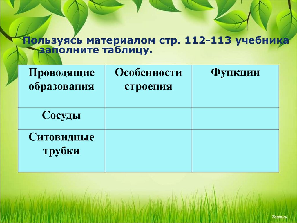 Передвижение веществ у растений 6 класс презентация