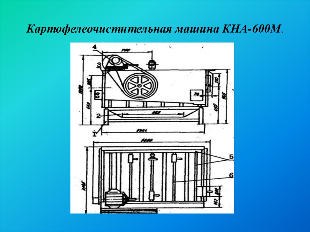 600 м. Картофелечистка непрерывного действия КНА-600м. Картофелеочистительная машина КНН-600м. Схема картофелеочистительной машины непрерывного действия КНА-600м. Картофелеочистительная машина МОК 600.