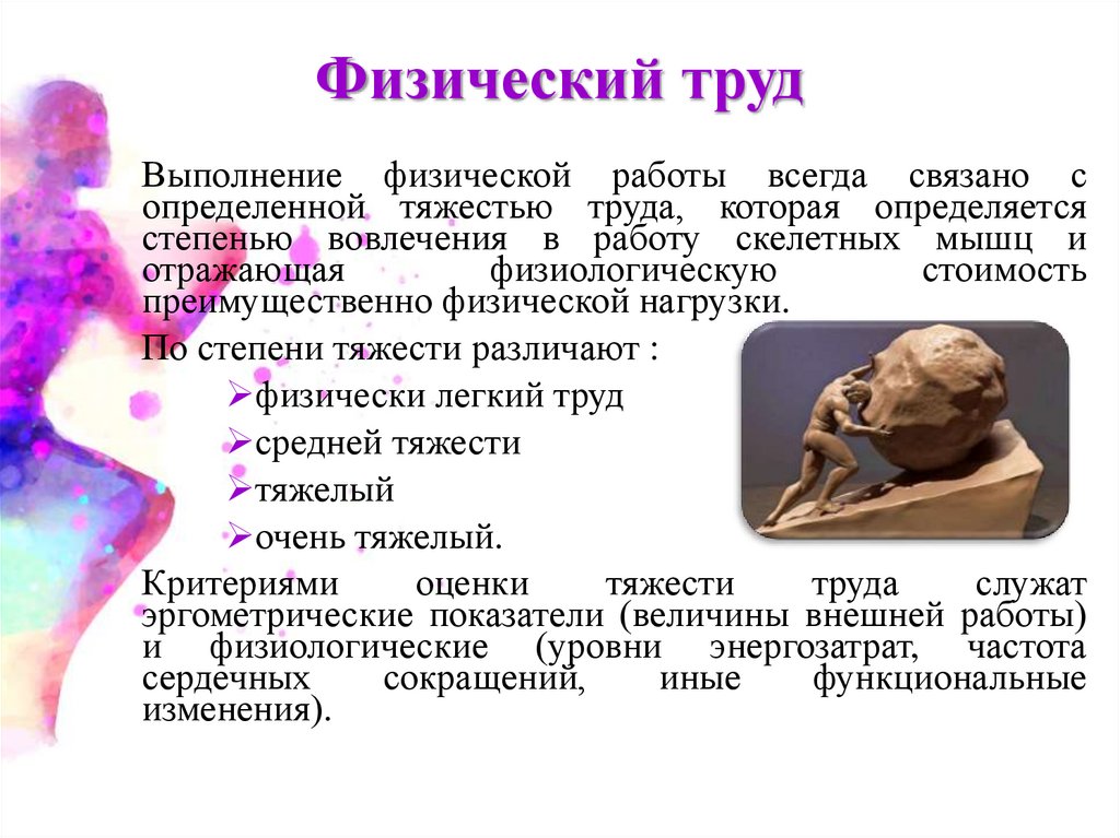 Функциональная активность человека и взаимосвязь физической и умственной деятельности презентация