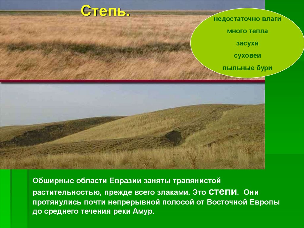 Степная природная зона почва. Степь природная зона. Земля в степи. Зона степей в Евразии. Растения степей Евразии.