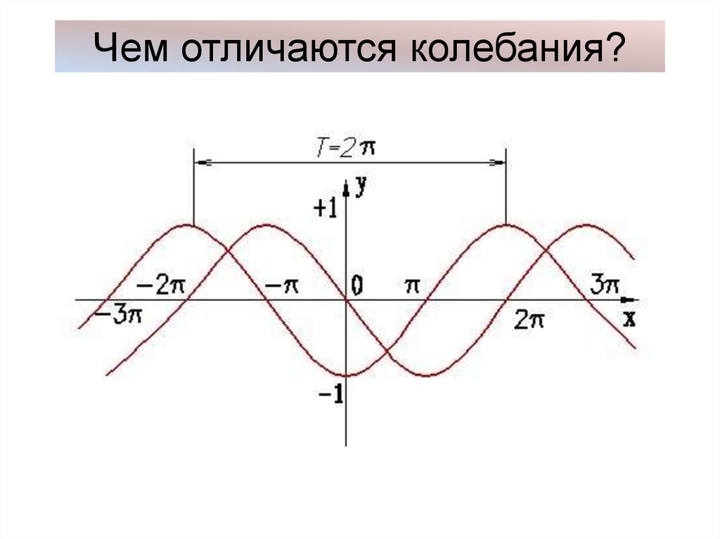 Чем отличаются колебания