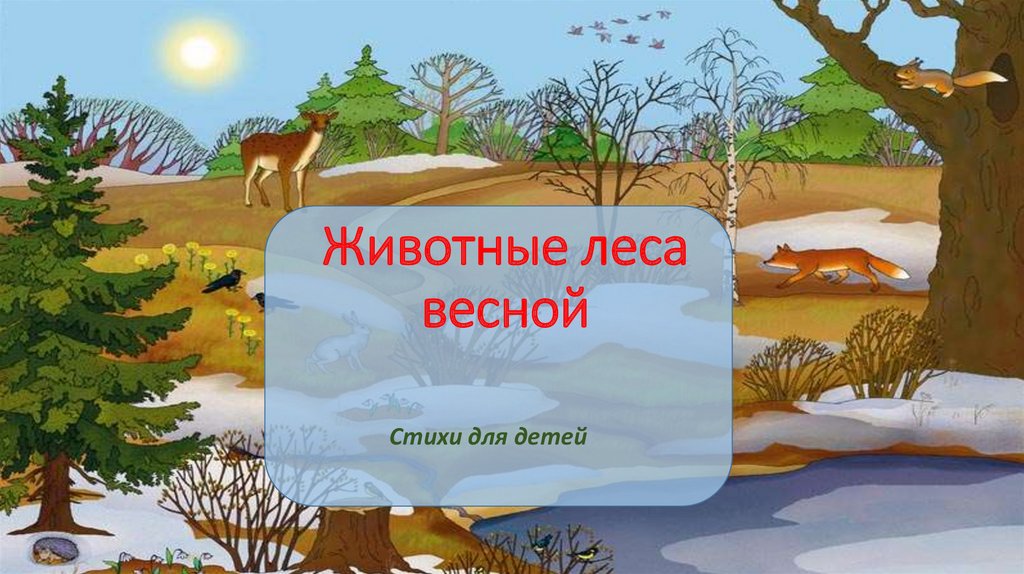 Презентация весенний лес для детей 3-4 лет.