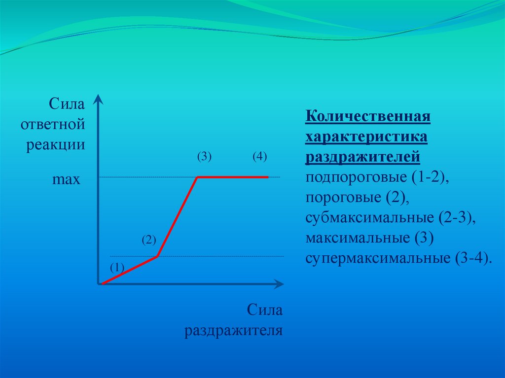 Max характеристика. Пороговые подпороговые и сверхпороговые раздражители. Раздражители по силе подпороговые пороговые. Пороговый раздражитель на графике. Пороговый потенциал это в физиологии.