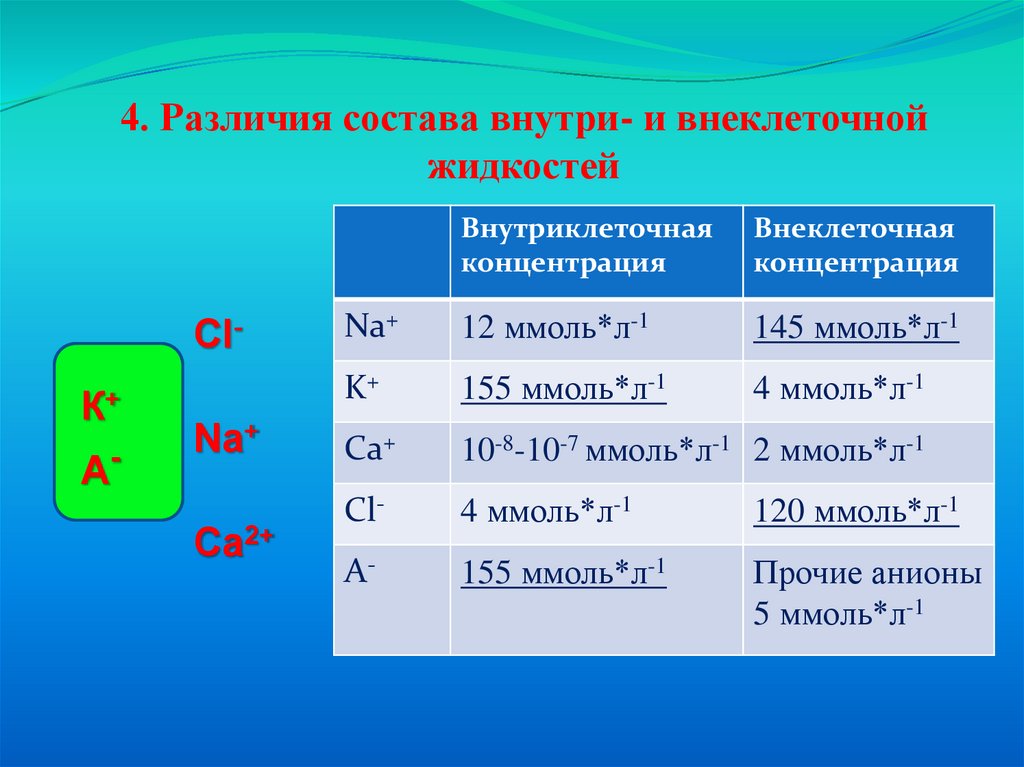 Внеклеточный катион