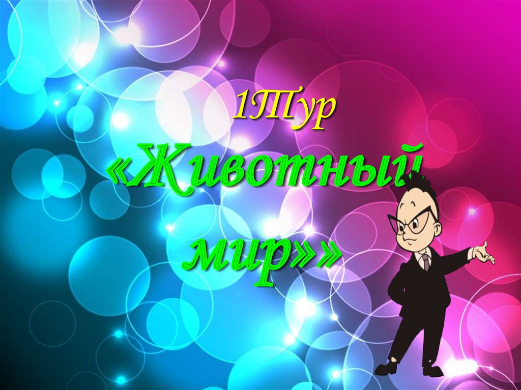 «Животный мир»»