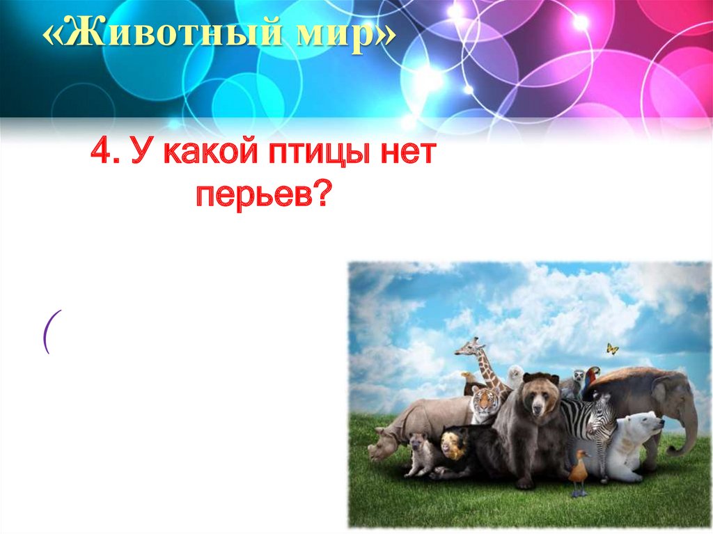 «Животный мир»