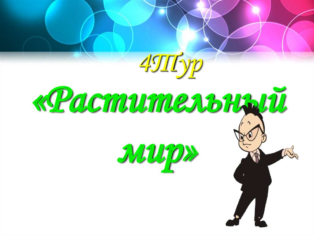 «Растительный мир»