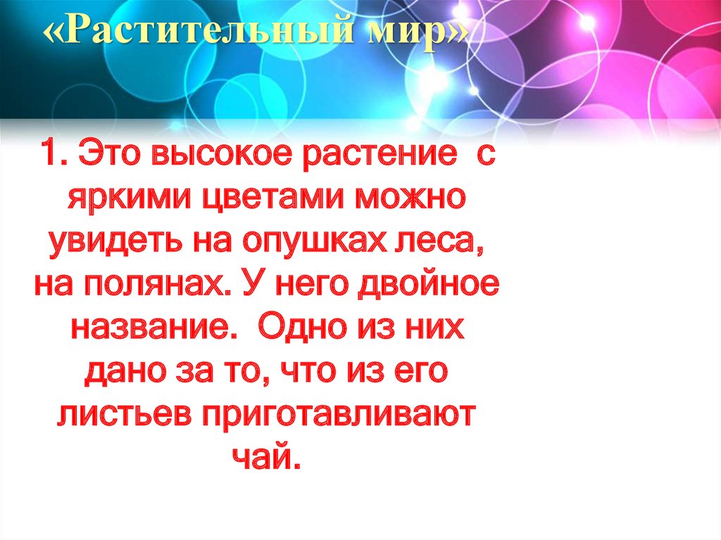 «Растительный мир»