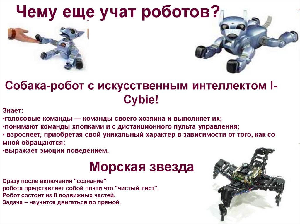 Сколько роботов в команде. Презентация на тему роботы. Робот собака презентация. Робот собака с искусственным интеллектом. Презентация на тему роботы игрушки.
