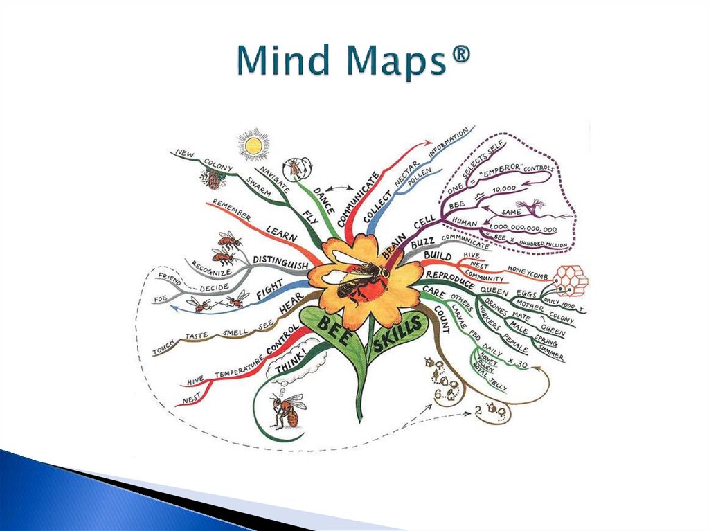 Mind Maps®