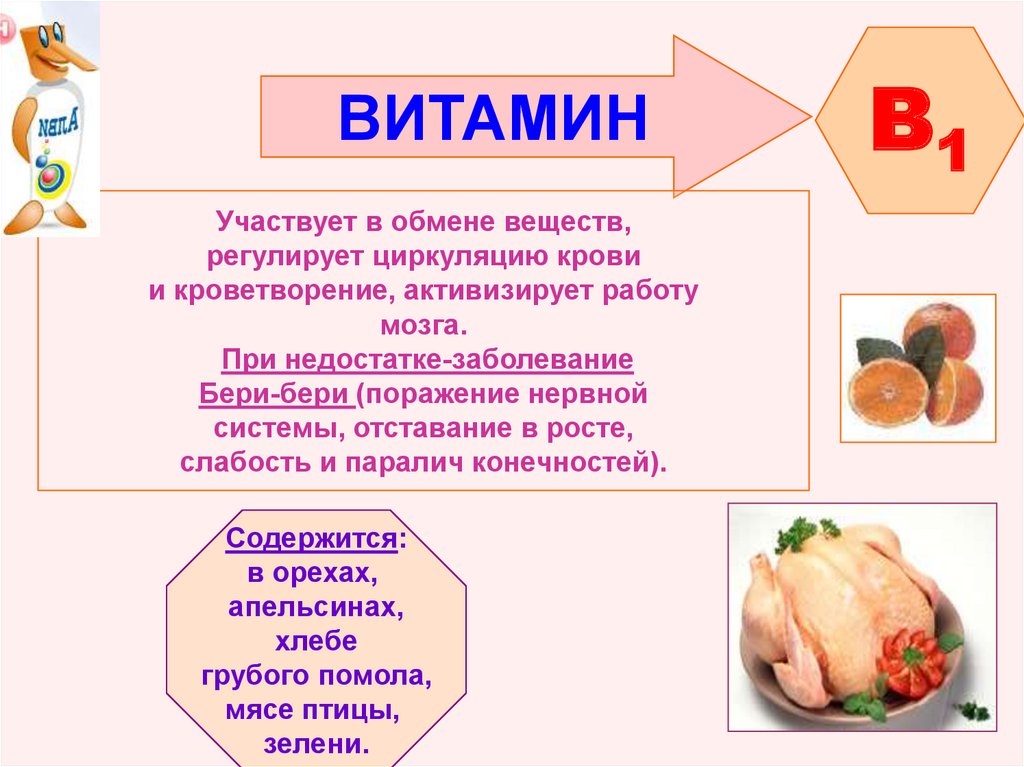 Влияние витаминов группы. Роль витамина b1. Витамин в1 кратко. Витамин в5 в2 в1 витамины группы. Функции витамина б1.