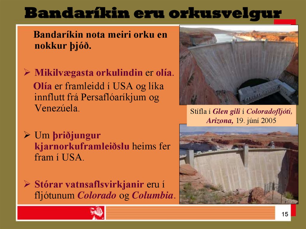 Bandaríkin eru orkusvelgur
