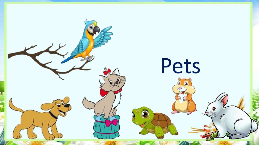Pets презентация. Презентации на тему Pets. Английские презентация Pet. My Pet картинки. Pet картинка для презентации.