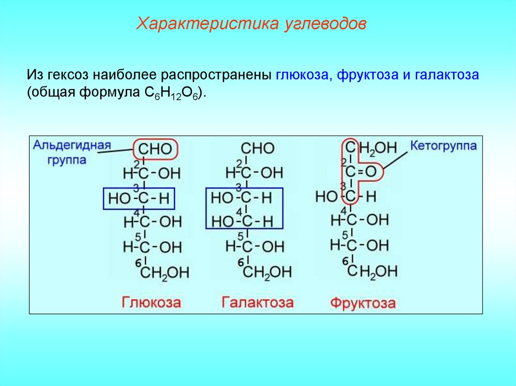 Гексоза это. Формулы углеводов гексоза. Строение гексоз. Фруктоза характеристика. Глюкоза фруктоза галактоза формулы.