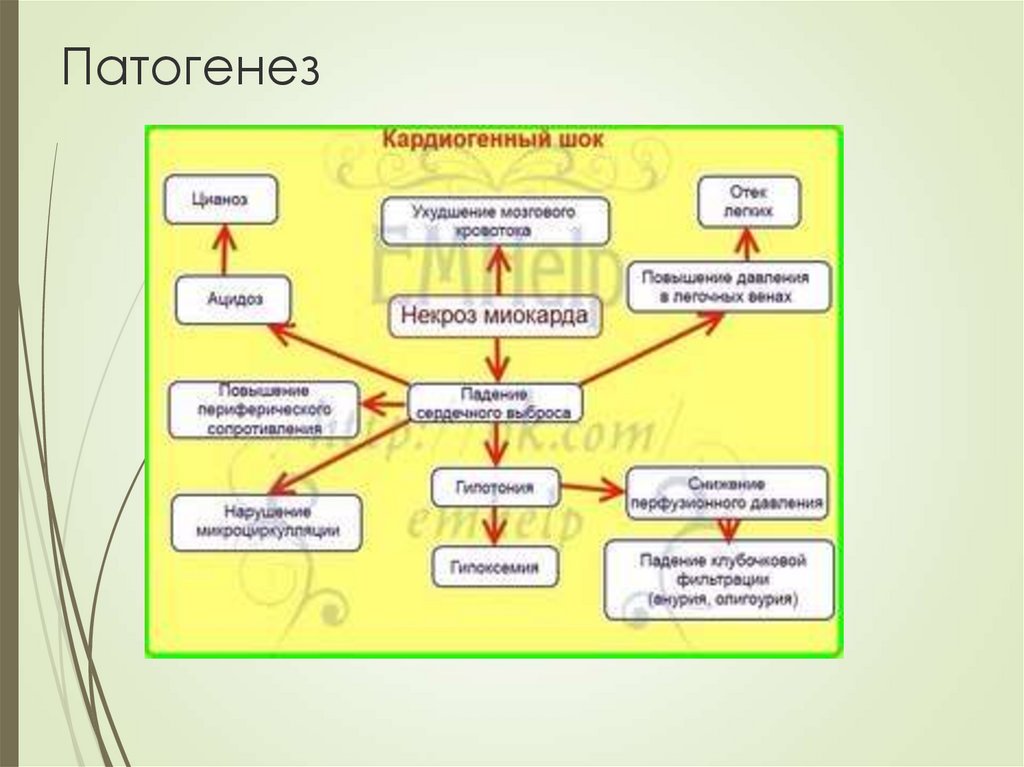 Схема патогенеза кардиогенного шока