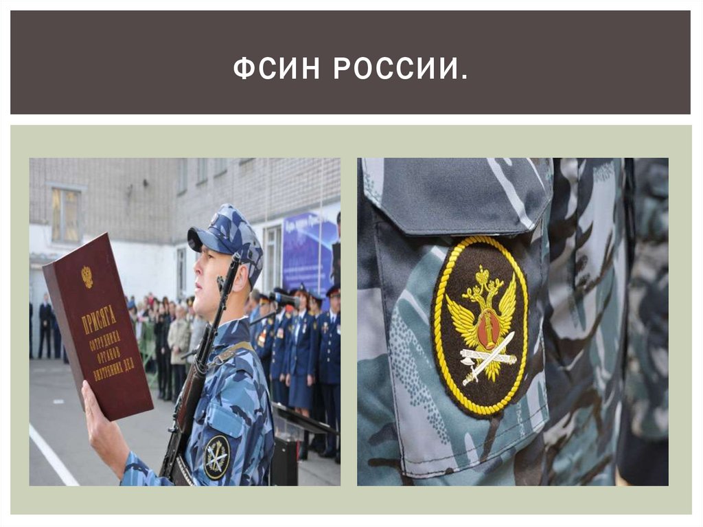 Оперативно розыскная деятельность уис. ФСИН России презентация. ФСИН оперативно розыскная. Орд ФСИН. Деятельность ФСИН.