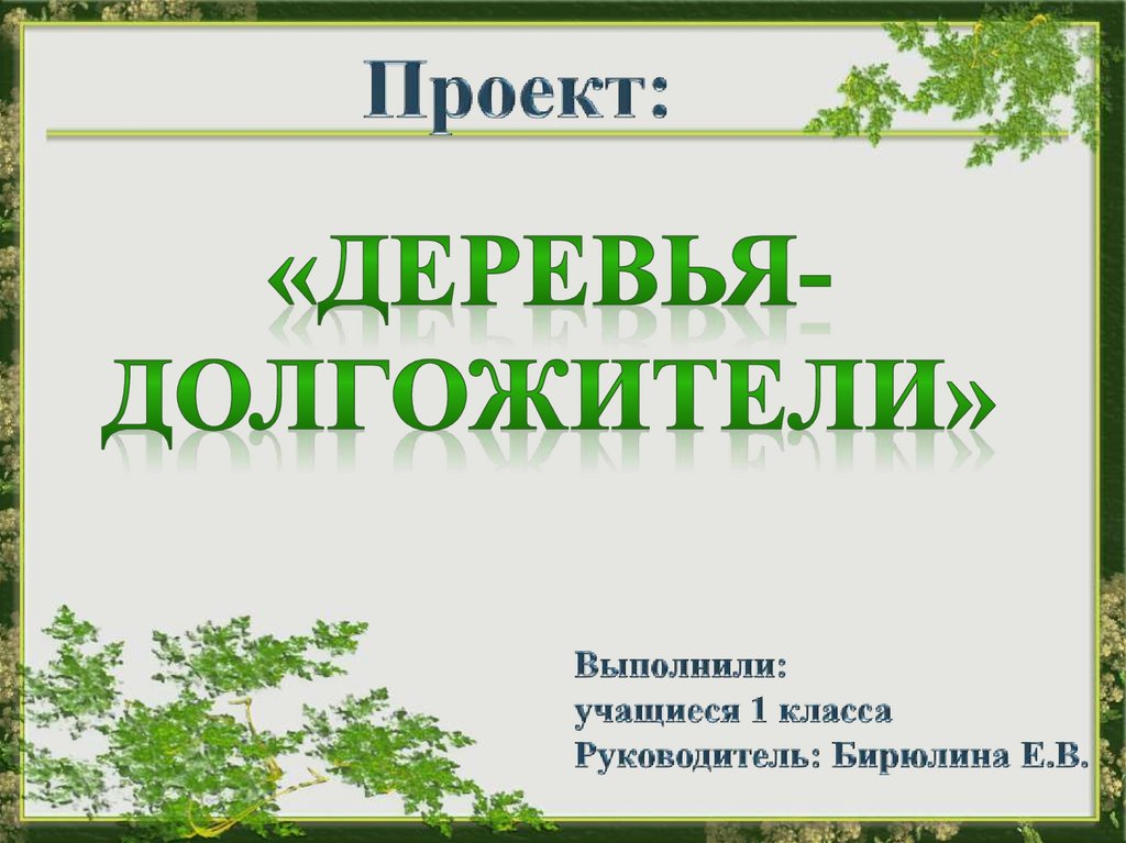 Деревья презентация 1 класс