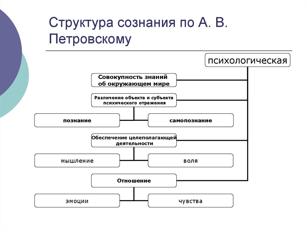 Сознание человека схема