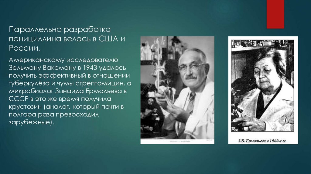 Кто первый открыл пенициллин. Зельман Ваксман. Зельман Ваксман (1888-1973). Зельман Ваксман стрептомицин. Кто открыл пенициллин в России.