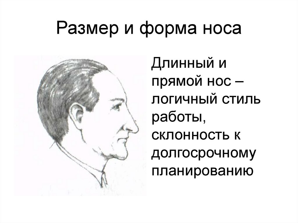 Размер и форма носа