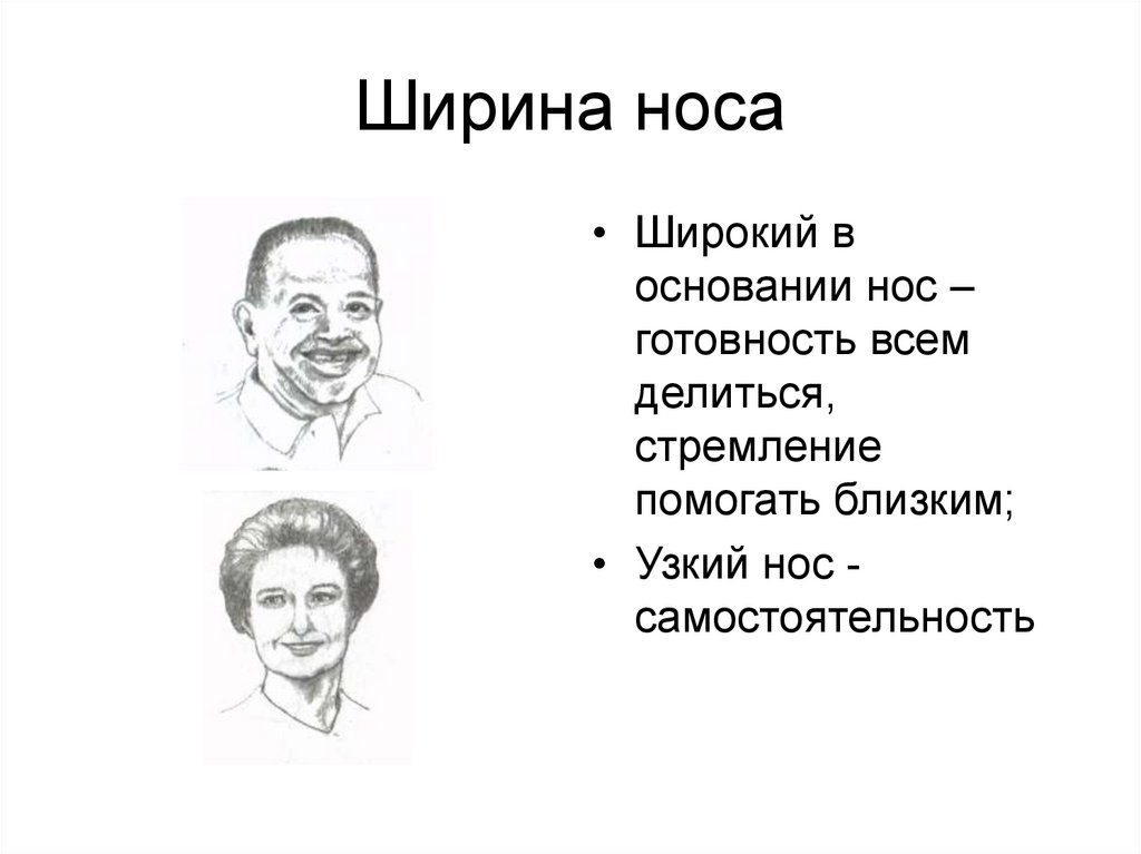 Ширина носа