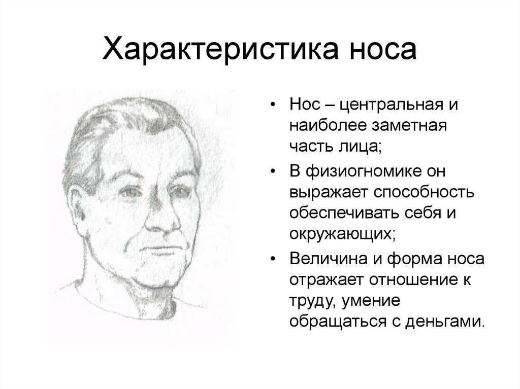 Охарактеризуйте нос его облик поведение
