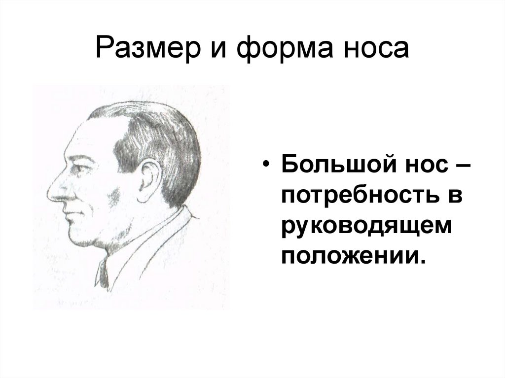 Размер и форма носа