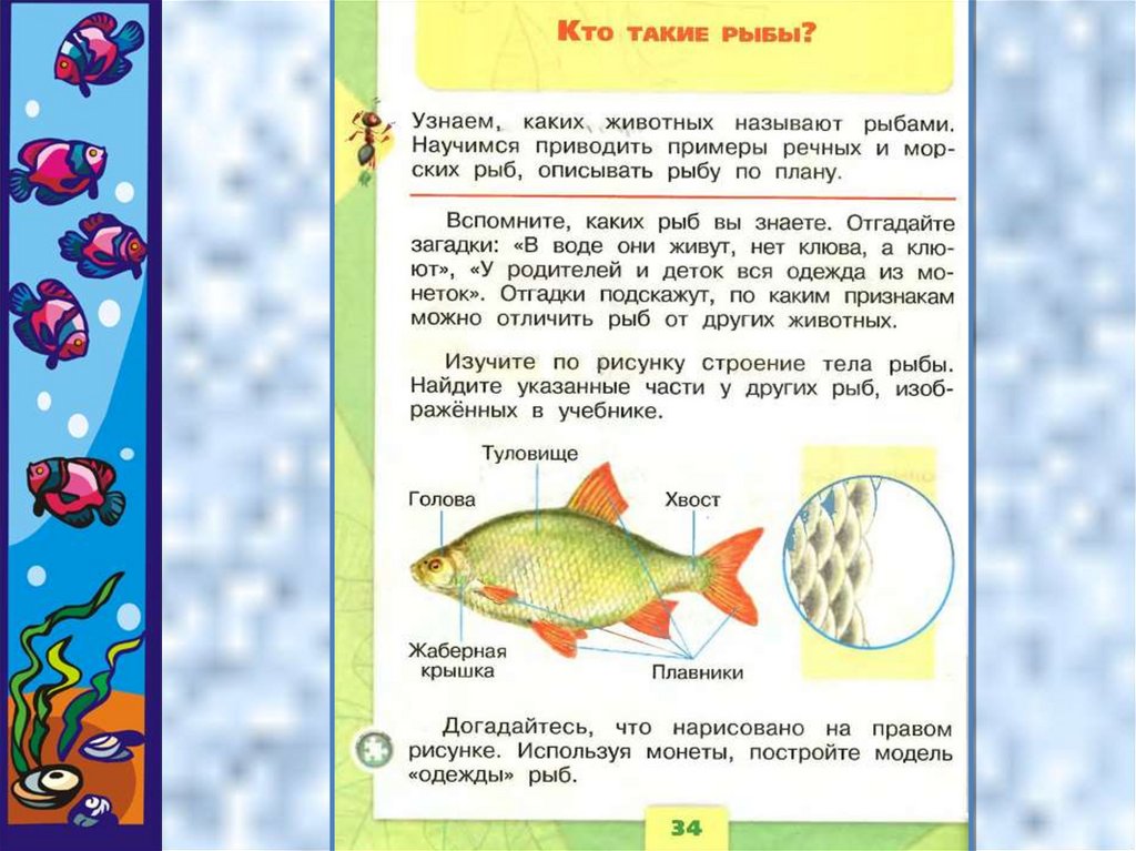 Тема рыбы 2 младшая группа. Рыбы для дошкольников. Рыбы задания для детей. Рыбы урок для дошкольников. Тема рыбы для дошкольников.