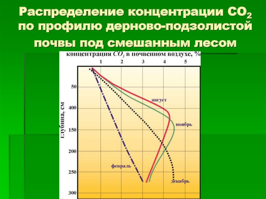 Распределение концентрации СО2 по профилю дерново-подзолистой почвы под смешанным лесом