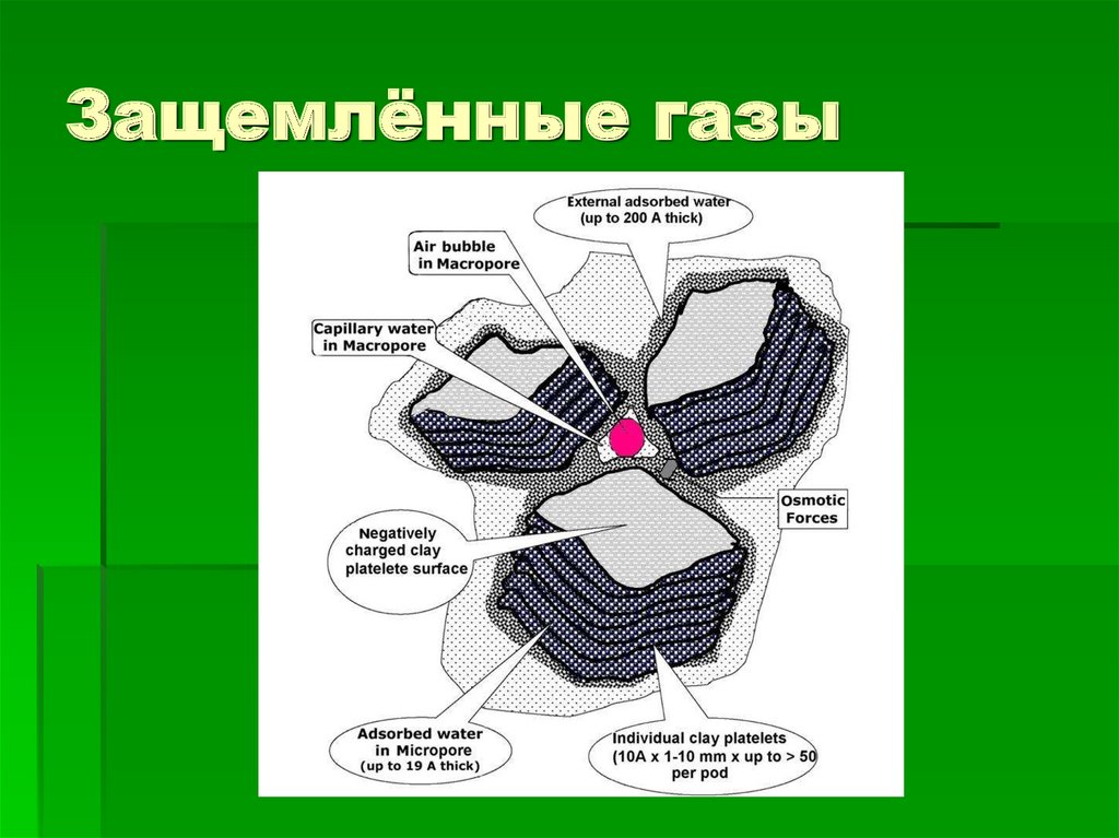 Защемлённые газы