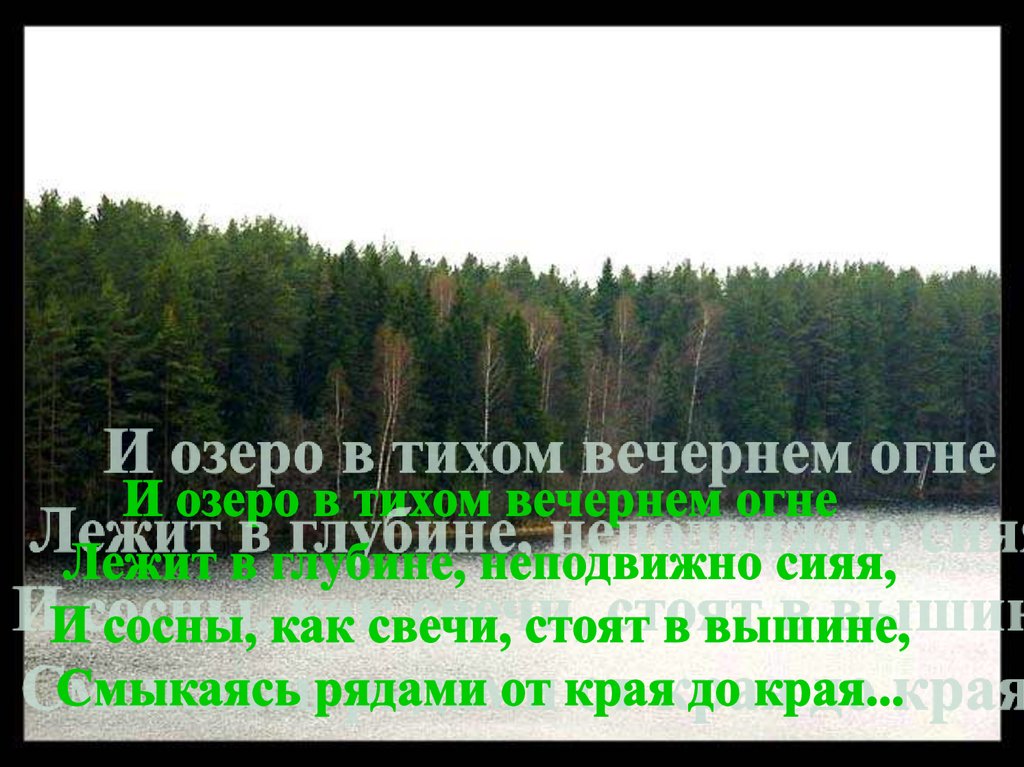 Васюткино озеро фото в реальной жизни