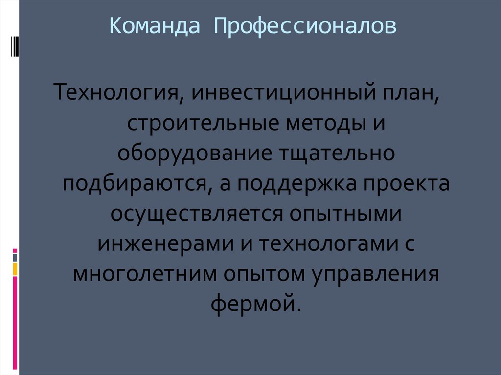 Команда Профессионалов