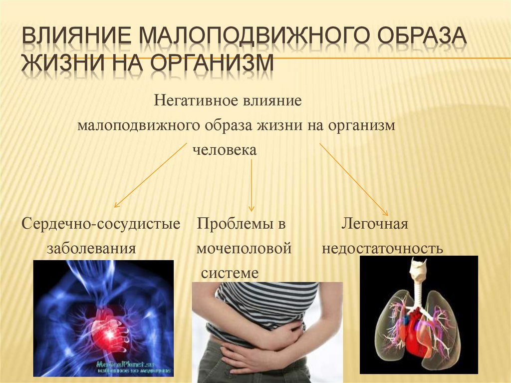 Влияние малоподвижного образа жизни на организм 