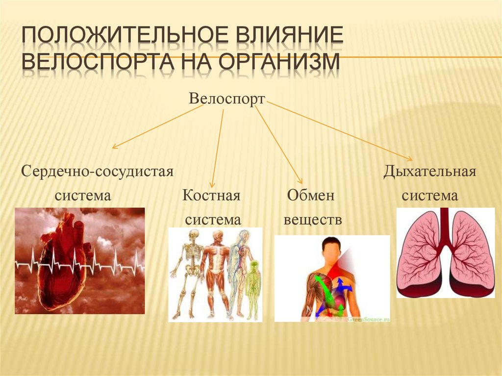 положительное Влияние велоспорта на организм