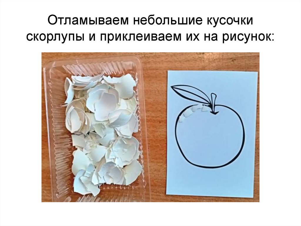 Отламываем небольшие кусочки скорлупы и приклеиваем их на рисунок: