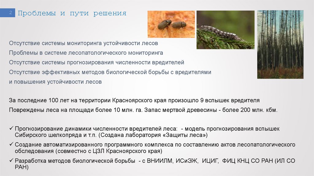 Проблемы и пути решения