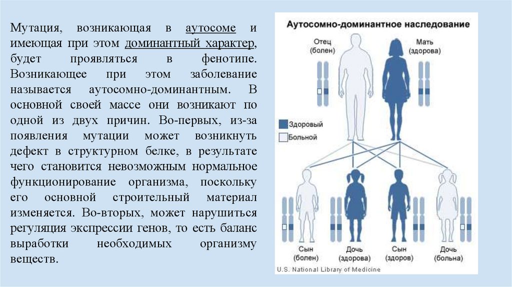 Доминантными генами называются. Аутосомно-доминантное наследование. Аутосомно-доминантный Тип наследования. Аутосомно-доминантные заболевания. Аутосомно-доминантный Тип наследования заболевания.