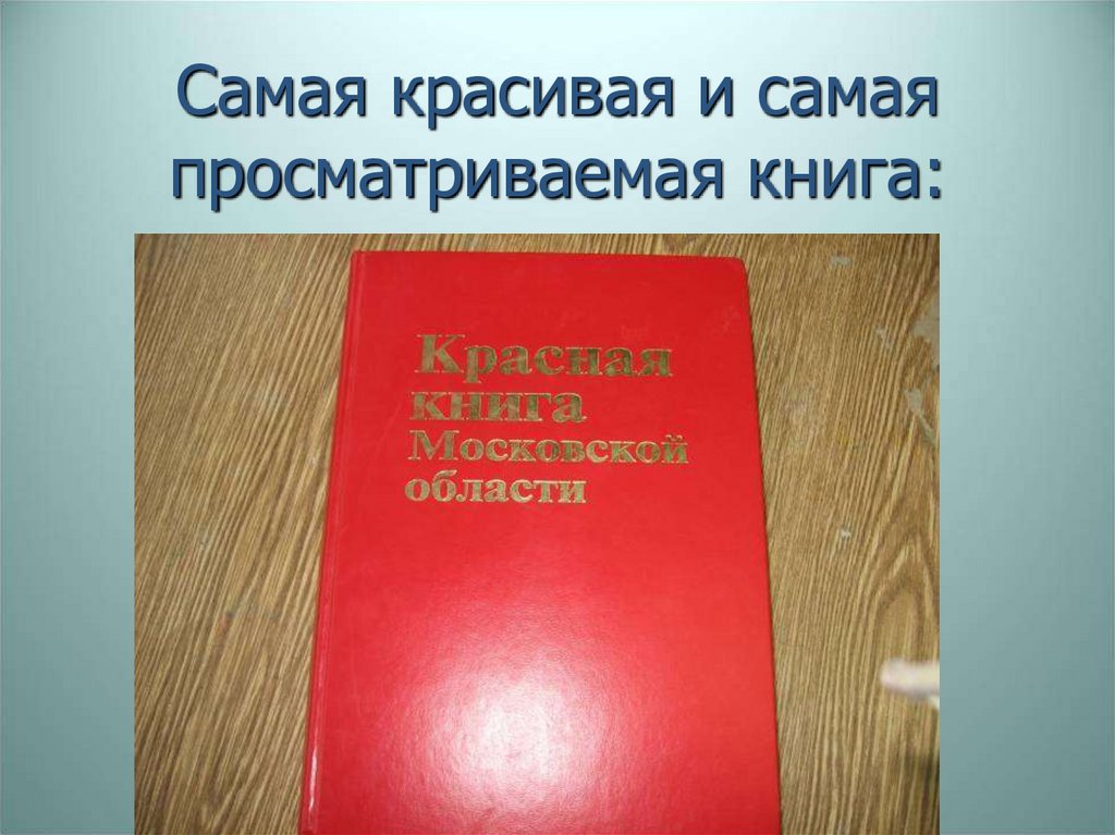 Самая красивая и самая просматриваемая книга: