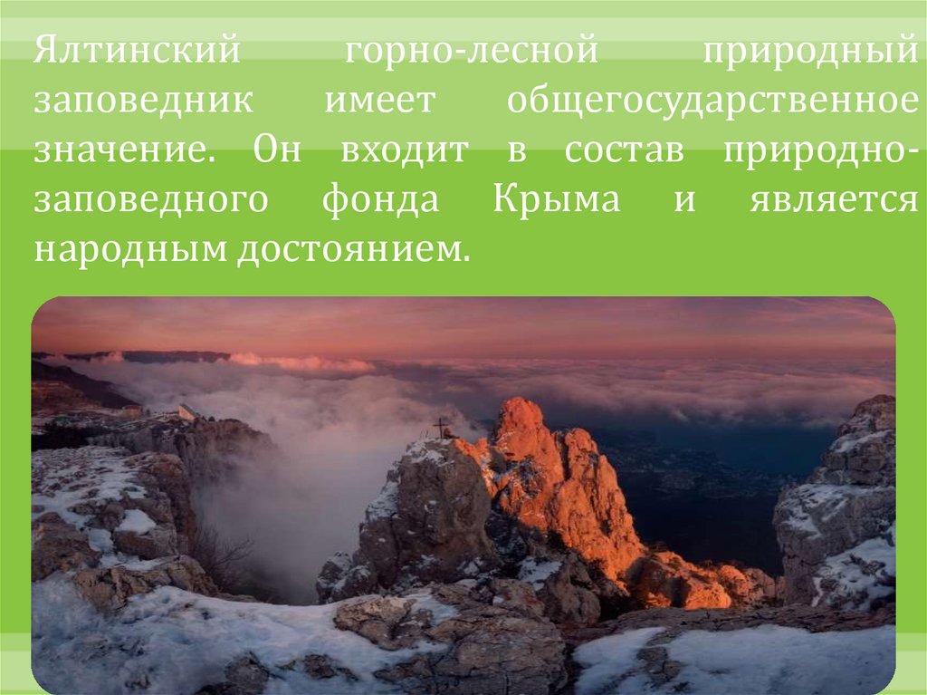 Ялтинский горно лесной природный заповедник презентация