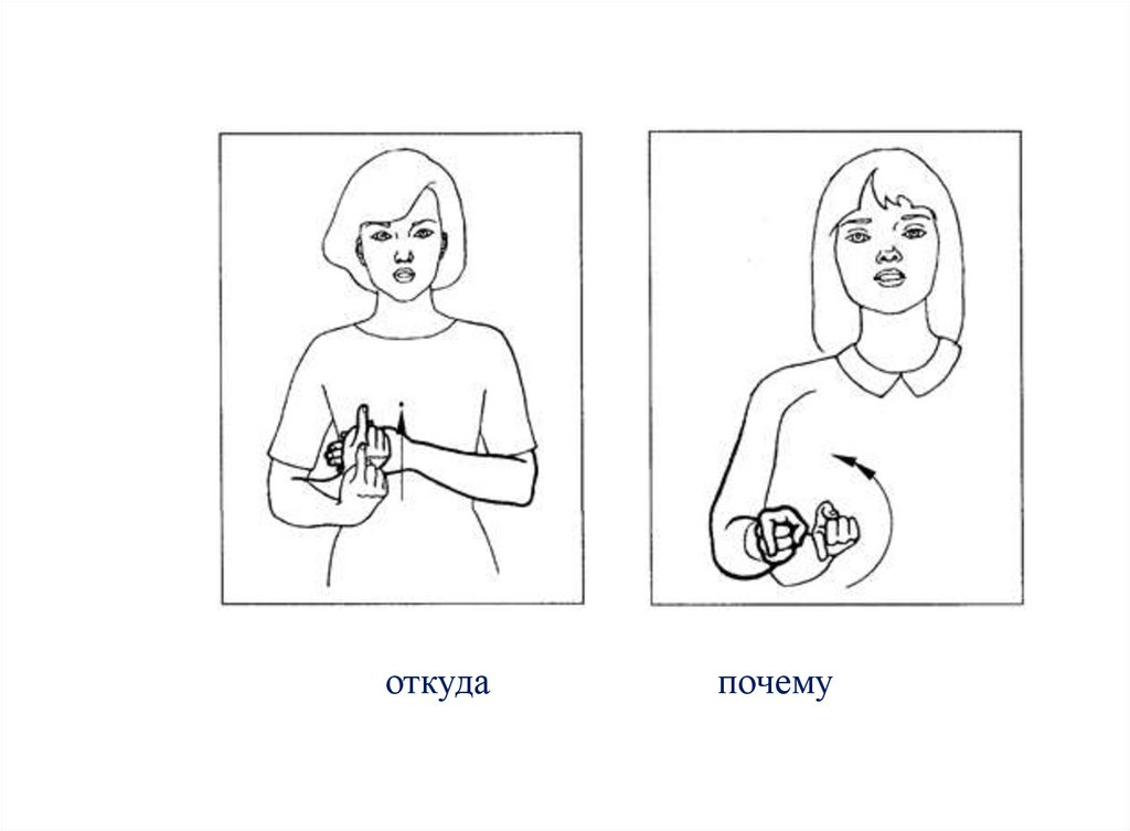 откуда почему