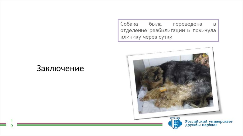 Заключение