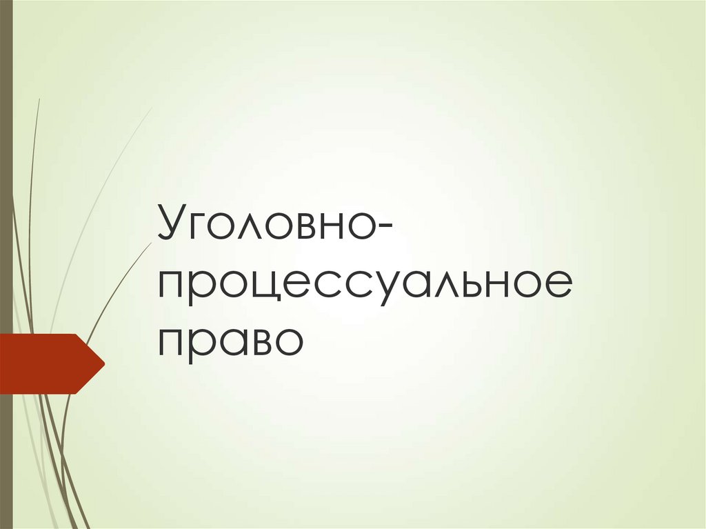 Уголовно процессуальное право презентация 11 класс