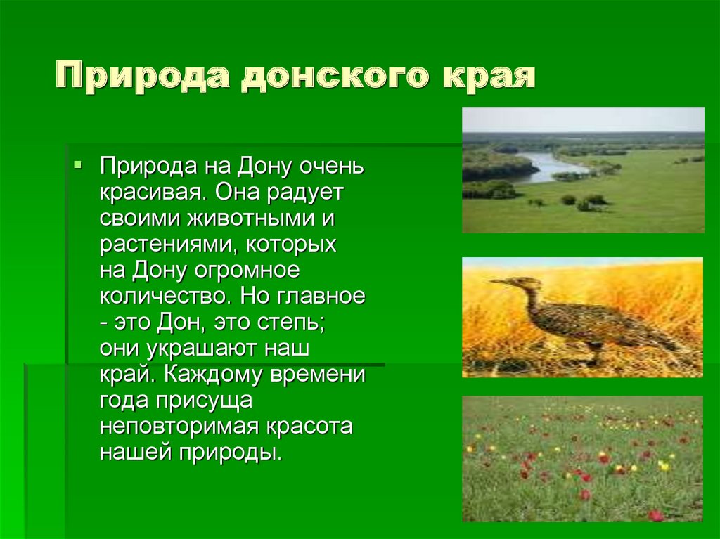 Инвестиционные проекты в ростовской области